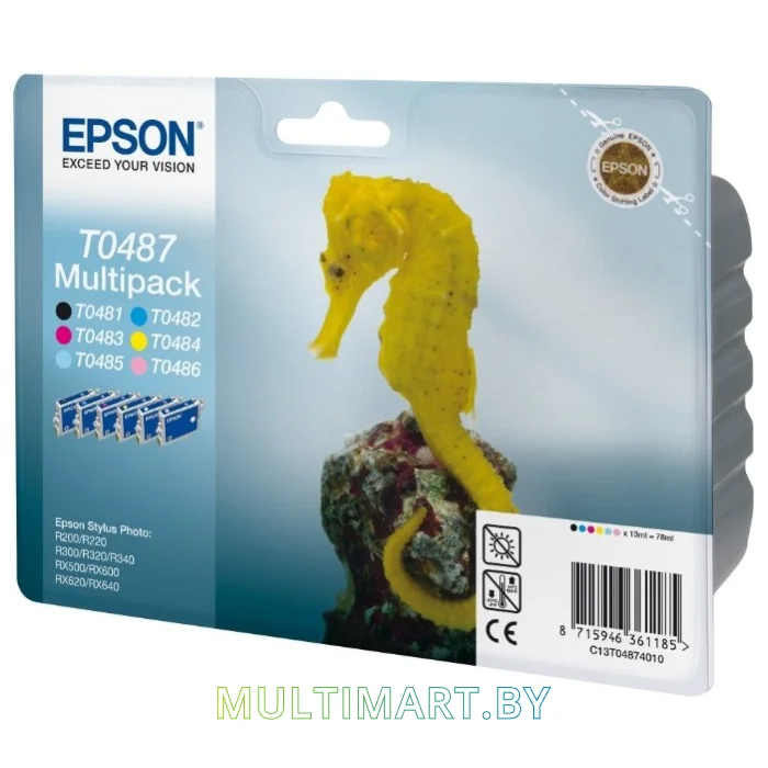 Картридж Epson C13T04874010